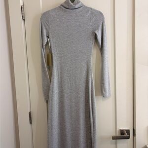 Aritzia Gray Turtleneck Dress